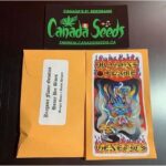 122856166_265293754915562_7110332656178944095_n