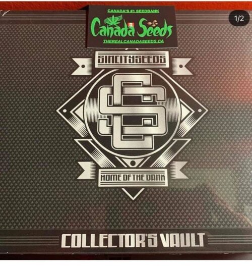 122883180_665911497619461_2254602831196134094_n