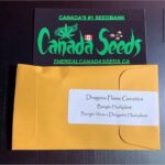 122886922_801302010437169_4357294777244822316_n