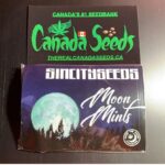 122889108_940625636346057_7781608754767662856_n