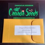 122892486_3706892229371316_1155824640837547865_n