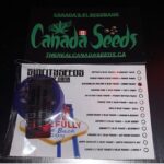 122895191_3270280869736430_8195014299433521272_n