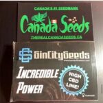 122896062_1576177502569810_4629087399301216793_n