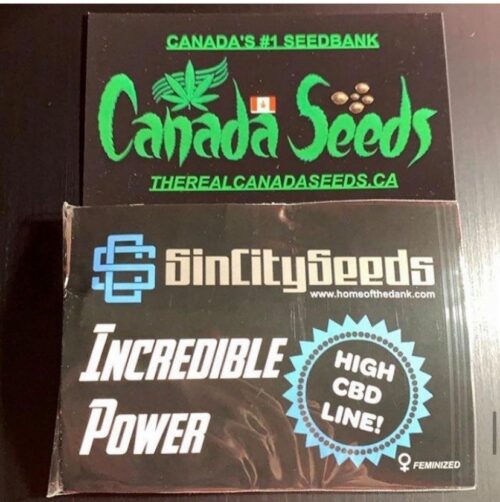 122896062_1576177502569810_4629087399301216793_n