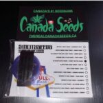 122914594_1077153169409212_2631519312334764384_n