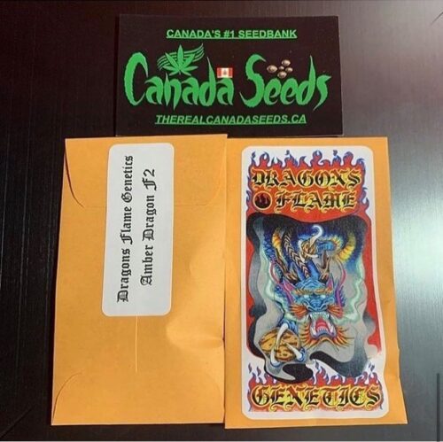 122926841_352519879412231_6289643652906052631_n