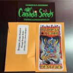 122935986_742990672921119_7524092141592492686_n