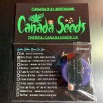 122953570_461517468144819_7610771760810750335_n