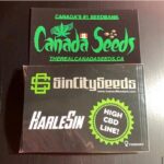 122967294_366109731264994_1344013073177801192_n