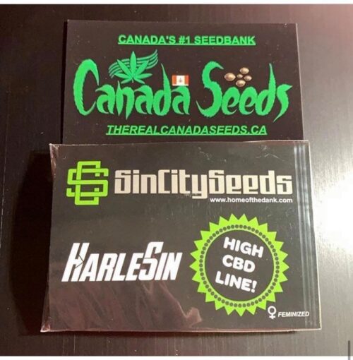 122967294_366109731264994_1344013073177801192_n