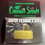 122973390_744159982806513_4865282284363755276_n