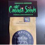 122993436_4807590885948187_5262098632380189255_n