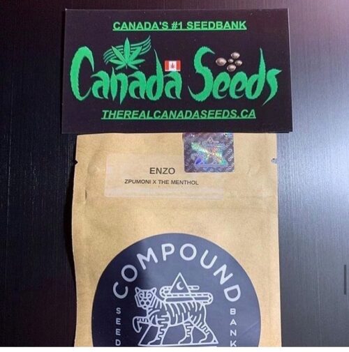 122993436_4807590885948187_5262098632380189255_n