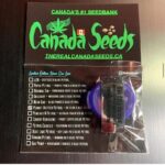 123005003_3353710838017328_6375995266147666834_n