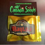 123025530_1145778782503194_7015295441817457730_n