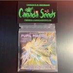 123085102_1049555698818538_1469577652102444582_n