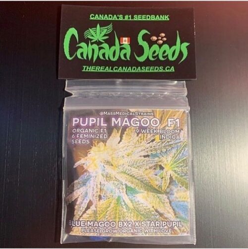 123085102_1049555698818538_1469577652102444582_n