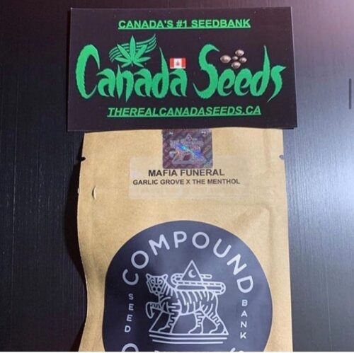 123116633_1497807487097048_6144961492969477385_n