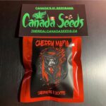 123266271_632358900772669_7291319185720425235_n