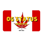 _CS logo V14 anteb gold black