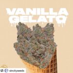 17e3540a-6957-4ee6-8c6c-bbfdc3bc6853