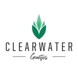 Clearwater Genetics Feminized