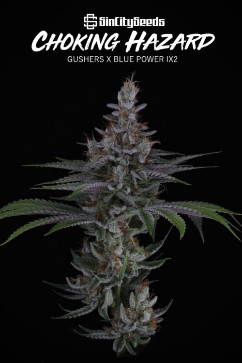 Choking Hazard 3 Large