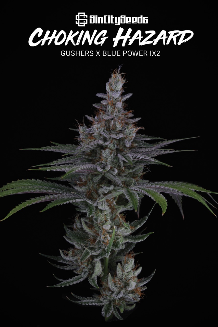 Choking Hazard 3 Large