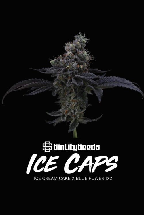 Ice Caps 6 w text Large