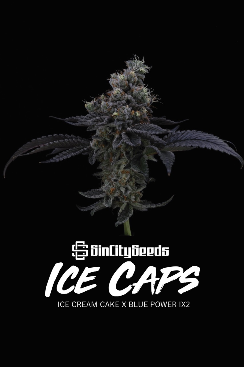 Ice Caps 6 w text Large